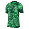 Maillot de Supporter Nigeria Domicile 2022 Pour Homme